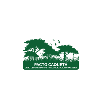 Pacto Caquetá