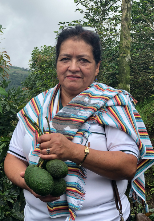 Frutas y verduras agroecológicas
