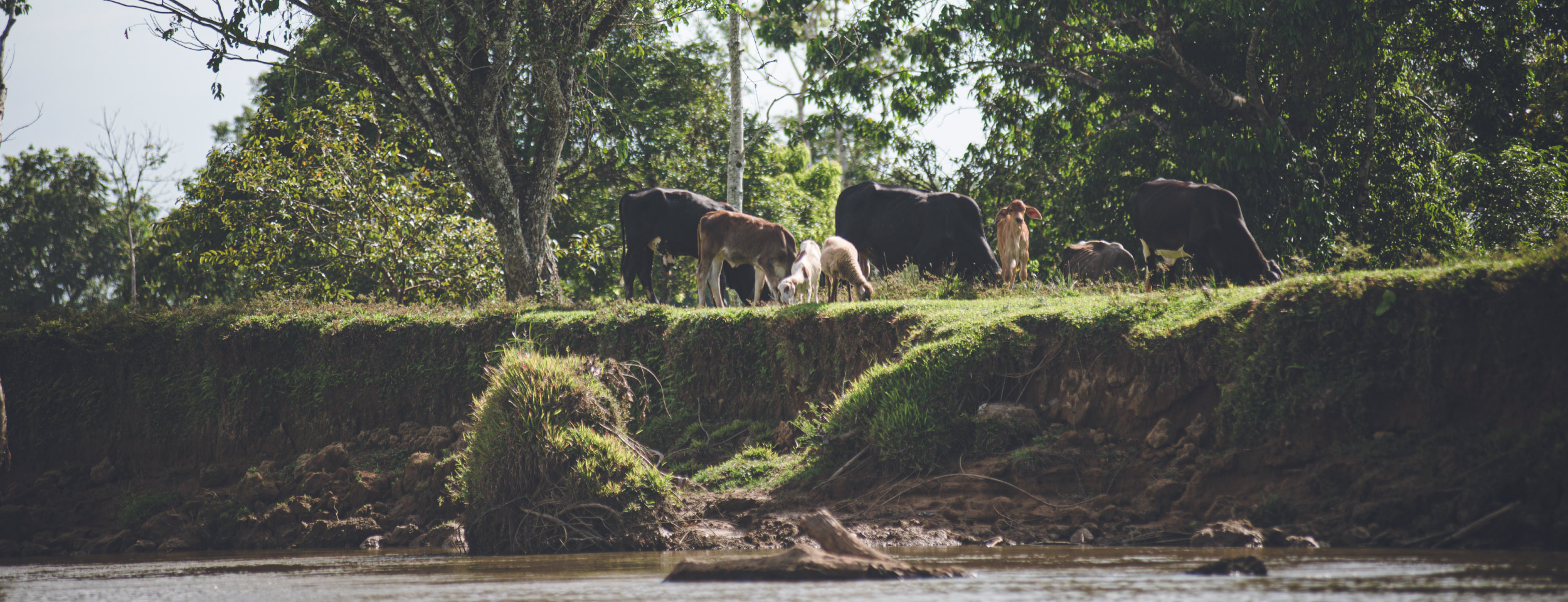 Trabaje con nosotros